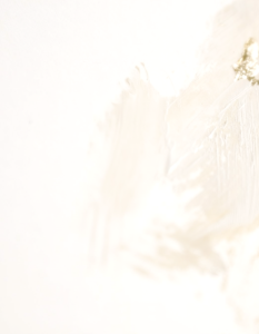 ベーシックフェイシャル